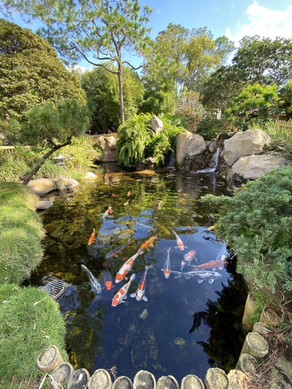 Koi Pond Landscaping