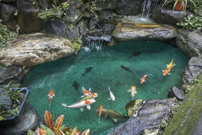 Koi Pond Landscaping