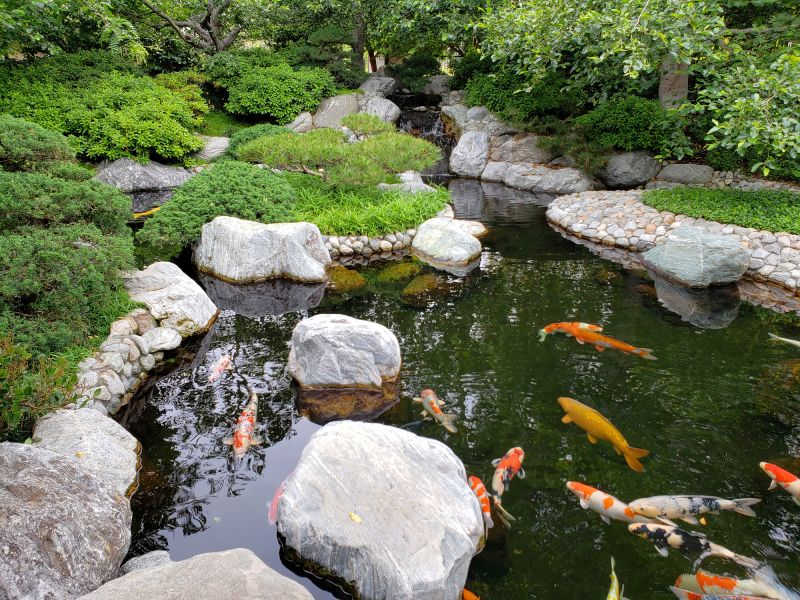 Koi Pond Landscaping