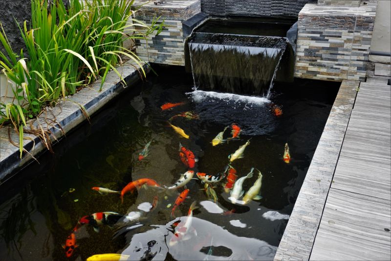 Koi Pond Landscaping