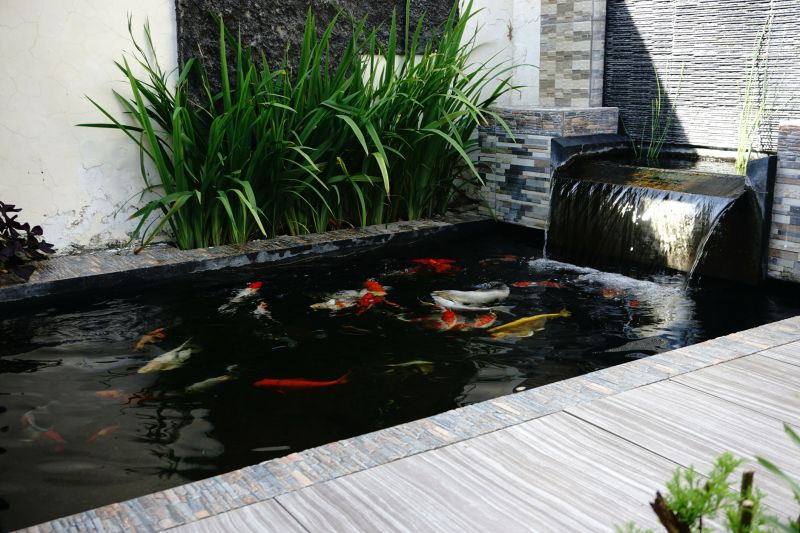 Koi Pond Landscaping