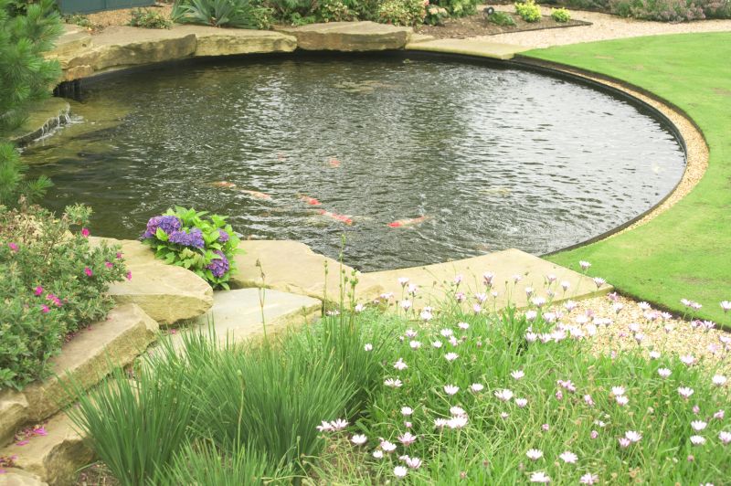 Koi Pond Landscaping