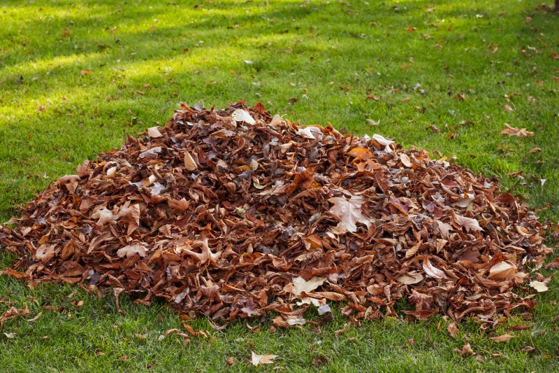 Autumn Leaf Cleanup