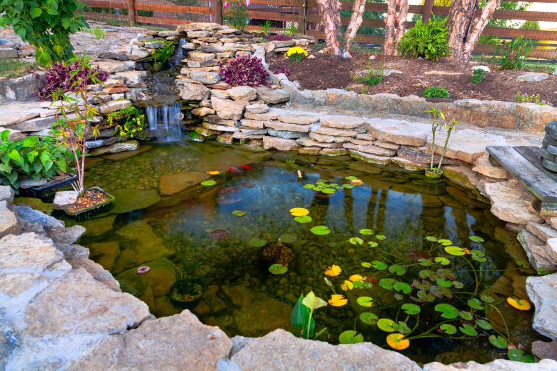 Winter Pond Care