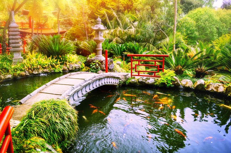 Elegant Koi Pond with Bridge
